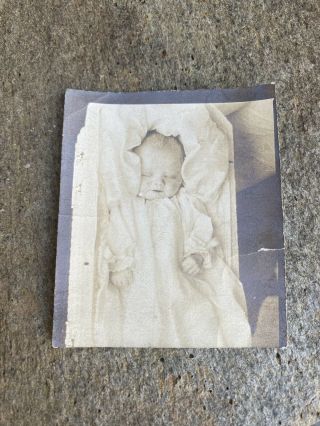 Antique Victorian Post Mortem Baby In Casket Photograph Antique Morbid