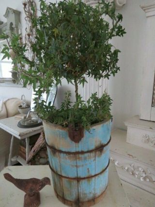 The Best Old Vintage Wood Ice Cream Bucket Aqua Blue With Patina Use As Planter