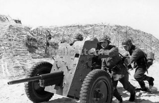 Ww2 Picture Photo France 1944 D - Day German Troops With Pak 36 Anti - Tank Gun 2315