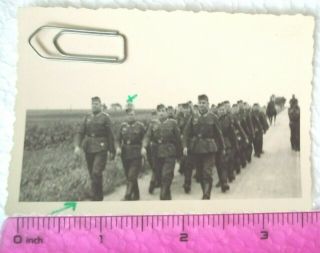Ww2 Orig.  Photo German Soldiers Marching Uniforms Belts Horse Text 2.  5 X 3.  5 In