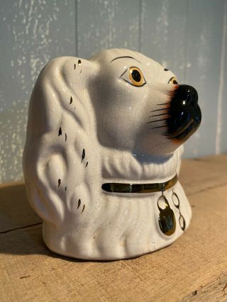 & ORIG.  19thC STAFFORDSHIRE SPANIEL DOG ' S HEAD MONEY BOX c1890s 2