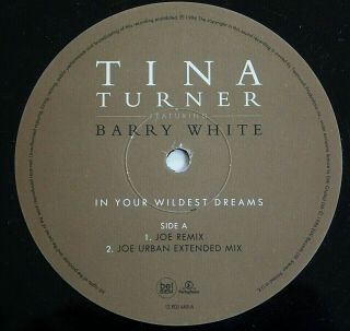 Tina Turner & Barry White - In Your Wildest Dreams 12 " Ex Vinyl Rare Uk Promo