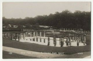 Ascot View From Terrace Buckhurst Park Wha 6048 Vintage Rp Postcard 324c