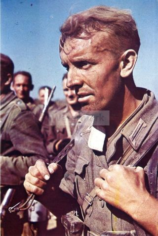 Ww2 Photo Portrait Of A German Soldier In June 1941 1114