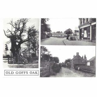 Old Goff 