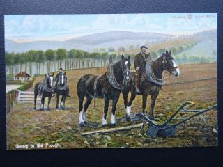 Rural Life Going To The Plough Shire Horses Harrowing Old Postcard By Reliable
