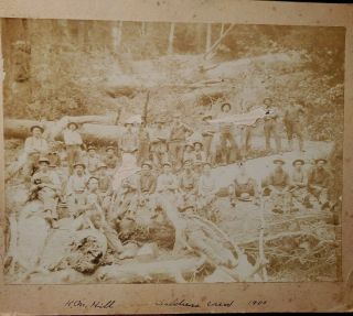Early 1900s Logging Photo Of Saldern Logging Crew 31 Loggers Grays River Wa