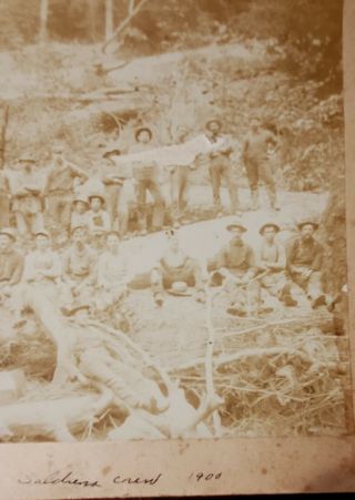 Early 1900s Logging Photo of Saldern Logging Crew 31 Loggers Grays River WA 3