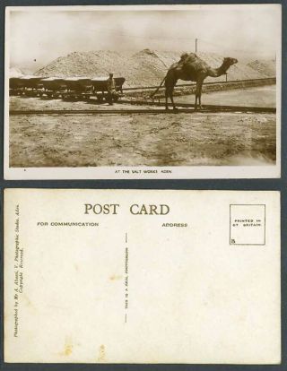 Aden Old Real Photo Postcard At The Salt Camel Drawn Carts Transport Yemen