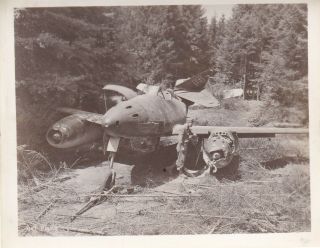 Wwii Photo Captured German Me262 Jet Fighter In Woods 1945 Germany 112