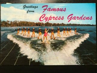 Vintage Postcard 1964 Greetings From Cypress Gardens Winter Haven Florida