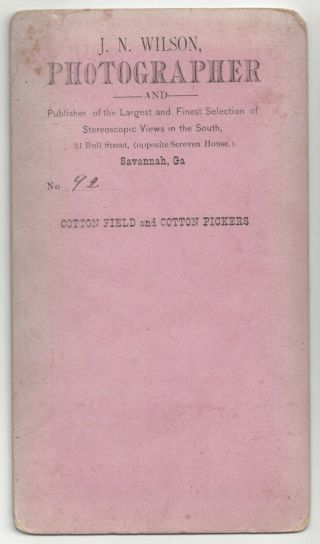 1870 ' s Savannah,  Georgia - Black African American Cotton Pickers in Field 3