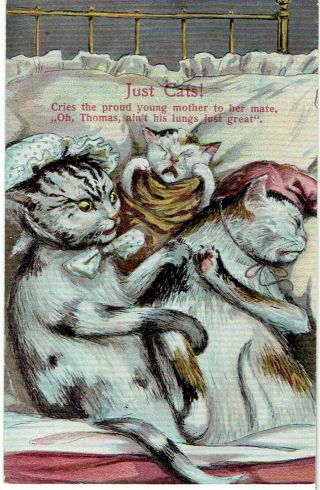 Artist Drawn Old Postcard Anthropomorphic Cats Baby Arrives Just Cats Series