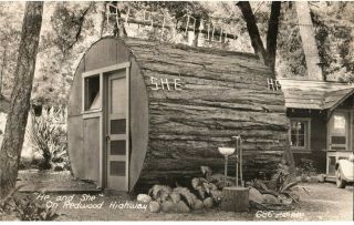 Vintage Rppc He And She Restroom Redwood Highway Tree Ca Real Picture