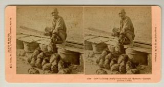 Military Beheaded Boxers Li Hung Chang Canton Prison China B.  W.  Killburn 1901.