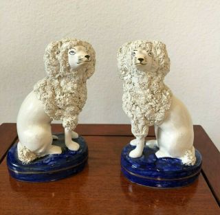 Antique Staffordshire " Confetti " Poodle Dogs