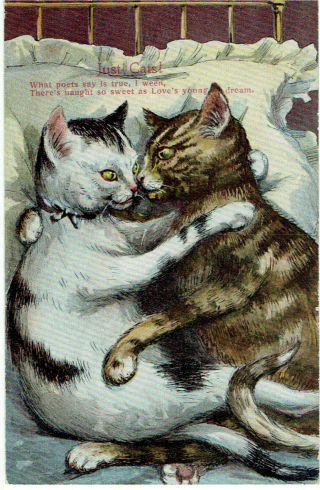 Artist Old Postcard Anthropomorphic Cats Loves Young Dream Just Cats Series