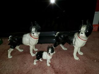 3 Antique Hubley Style Boston Bull Terrier Cast Iron Doorstops 10” And Puppy 5 "