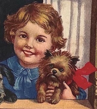 1937 Brussels Griffon Bruxellois Girl 2 Dogs In Window Old Dog Pc