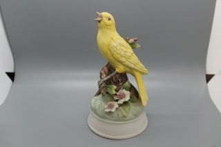 Rare Vintage Andrea By Sadek Porcelain Canary Bird Music Figurine 8767