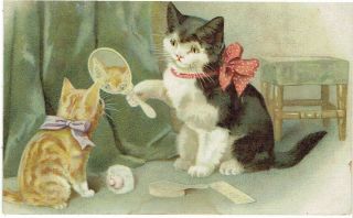 Helena Maguire Artist Drawn Old Postcard Anthropomorphic Cats Holding Mirror