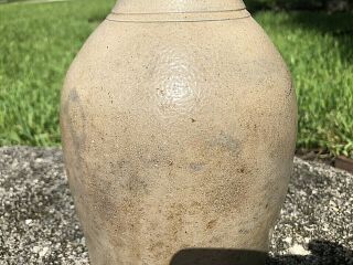 Antique 1 Gal.  Stoneware salt glazed Jug pitcher Cobalt Blue bird 19th c.  8  in. 3