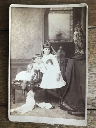 Antique Victorian Cabinet Card - Young Girls With Their Dolls - Owl