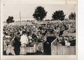 Wwii Historic German Troops Polish Prisoners 1939 Orig Vintage Press Photo 300