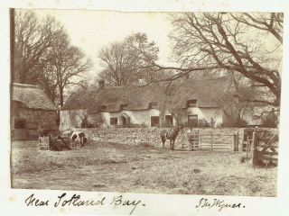 Victorian Photo Isle Of Wight Thatched Farm Near Totland Bay