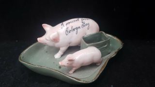 Rare Victorian German Pig Fairing Two Pigs Match Holder - A Present Colwyn Bay