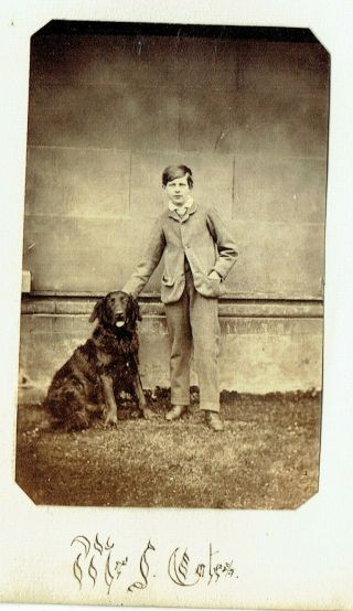 Victorian Cdv Type Photo Boy With Dog Mr J Cotes