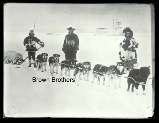 1910s Alaskan Eskimos Inuits Sled Dogs & Sled Glass Photo Negative - Brown Bros