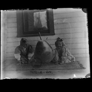 Photo Glass Plate Negative 5” X 4” Trick Photo Special Effect Kids Giant Pear