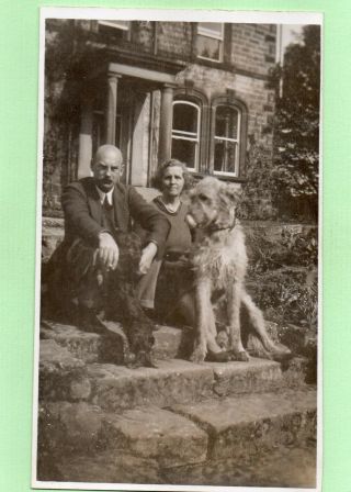 Irish Wolfhound & Black Dog With Couple 1938 Vintage Private Photo Postcard