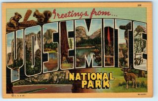 Greetings From Yosemite National Park Large Letter Vintage Linen Postcard A15