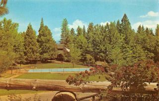 Old Oak Ranch Youth Camp Tuolumne County,  Ca Summer Camp C1960s Vintage Postcard