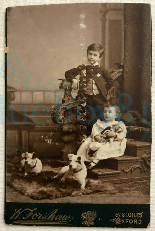 1898 Cabinet Card Photo Of Brother & Sister & Dogs Named Back W Forsham Oxford