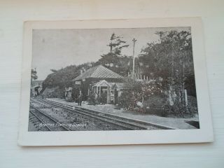 Devon Bratton Fleming Station - Vintage Postcard Completely Blank To Rear §zd389