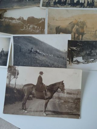 Eleven Vintage C 1900 - 1930 B/w Photos Of Horses,  Equestrian Scenes