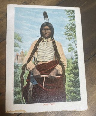 Low Dog Native American Vintage Postcard