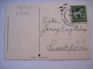 Vintage Swedish Postcard 