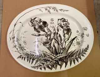 Antique Brown Westhead Moore Bwm & Co Field Flowers Dinner Platter