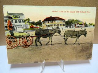 1912 Postcard Old Orchard Maine Me Peanut Team On The Beach
