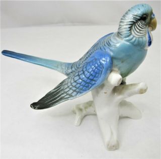 Blue Parakeet Karl Ens Volkstedt Porcelain Figurine Bird Parrot
