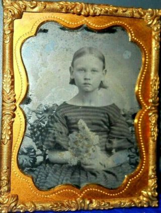 1/9th Size Ruby Ambrotype Of Young Girl In Brass Frame And Mat