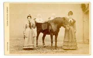 Children In Baskets On Pony With 2 Ladies On Cdv By S V White Of Reading