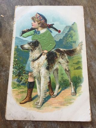 Vintage Irish Wolfhound Dog Postcard Boy In Kilt Hunting Rifle Silk? Sweater