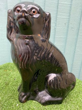 19thc Staffordshire Jackfield Black Spaniel Dog With Glass Eyes C1890s