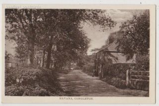 Early Postcard,  Cheshire,  Congleton,  Havana,  Old House View,