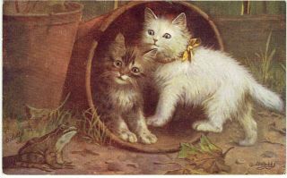 R Tuck B Cobbe Artist Signed Old Postcard Cats In A Plant Pot Watching A Frog